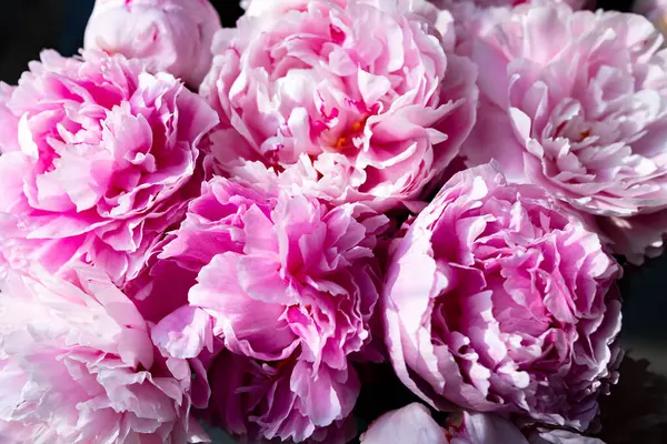 Taze pembe şakayık ve güller. Kart kavramı, pastel renkler, resmi kapat. Yüksek kalite fotoğraf