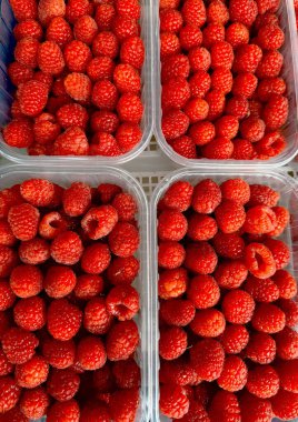 Plastik bir sepette taze ve olgun ahududular, Top view. Yüksek kalite fotoğraf