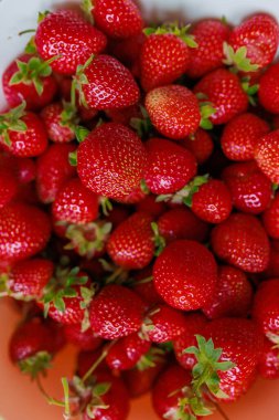 Beyaz bir kasede taze çilek. Mevsimlik meyveler. Yüksek kalite fotoğraf