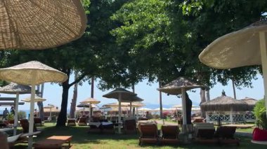 Fethiye, Türkiye 10 Temmuz 2025. Oteldeki ağaçların gölgesinin altında güneşli şezlonglar ve plaj şemsiyeleri olan dinlenme alanı. Yüksek kaliteli FullHD görüntüler