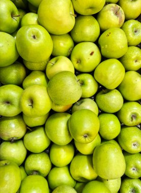 Yeşil elma Malus domestica, parlak yeşil rengi ve taze, keskin dokusuyla bilinen bir elma türüdür. Yüksek kalite fotoğraf