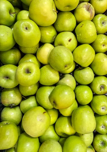 Yeşil elma Malus domestica, parlak yeşil rengi ve taze, keskin dokusuyla bilinen bir elma türüdür. Yüksek kalite fotoğraf