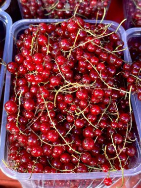 Plastik bir konteynırda olgun kırmızı üzümler bir pazarda satılır. Yüksek kalite fotoğraf