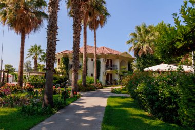 Türkiye, Fethiye, 06 Temmuz 2025 Sizi çarpıcı beyaz mimarisi olan güzel bir avluya götürecek güzel palmiye çizgili bir patika boyunca gezinin. Yüksek kalite fotoğraf