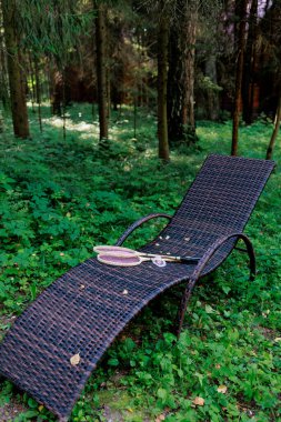 Beyaz badminton topu ve iki raket parktaki bir şezlongda yatıyor. Boş zaman, eğlence, raket sporları. Yüksek kalite fotoğraf