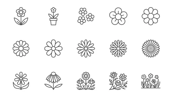 Kamomilllinjerikoner Inställda Daisy Blomma Echinacea Vektor Illustration Beskriv Tecken Kamomillte — Stock vektor