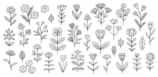 Ilustracja Kwiat Doodle Tym Różnych Ziół Polowych Ręcznie Rysowane Cute — Wektor stockowy