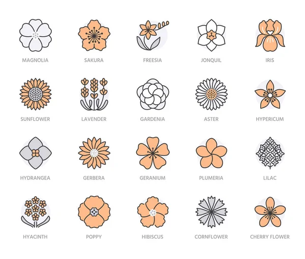 Fleurs Lignes Plates Icônes Des Plantes Jardin Tournesol Pavot Cerisier — Image vectorielle