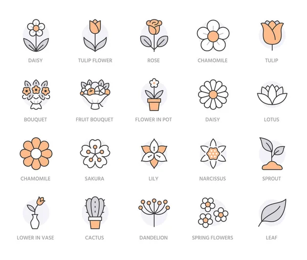 Σύνολο Εικονιδίων Γραμμής Λουλουδιών Τριαντάφυλλο Τουλίπα Βάζο Μπουκέτο Φρούτων Ανοιξιάτικο — Διανυσματικό Αρχείο