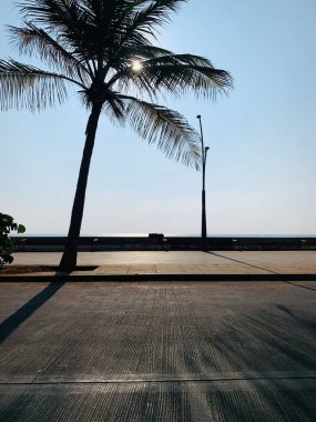 İsrail 'in kuzeyindeki Akdeniz adasının güzel manzarası.