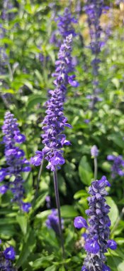 Mavi gökyüzünde turuncu oyuncak uçak 