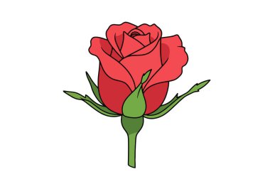 Klip Art Rose Bud. Yeşil yapraklı ve saplı kırmızı gül goncası. Vektör illüstrasyon tasarımı.