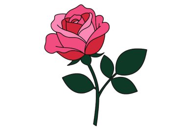 Gül Günü Çiçeği 'nin bir parçası. Yeşil yapraklı pembe ve kırmızı bir gül. Vektör illüstrasyon tasarımı.