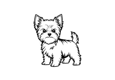 Yorkie 'nin klipsi siyah beyaz. Uzun, ipek paltosu ve oyuncu kişiliğiyle tanınan Yorkshire Teriyerinin sevimli, siyah ve beyaz çizgili bir çizgisi..