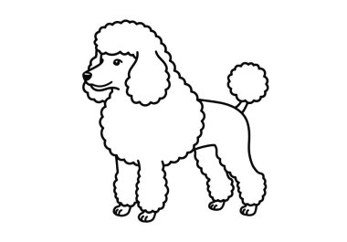 Poodle clip art black and white. A cute and elegant black and white line art illustration of a Poodle, known for its fluffy coat and intelligent personality. clipart