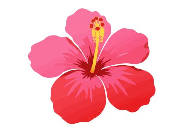 Plaj Çiçeği Clipart. Bu resim canlı pembe ve kırmızı bir amber çiçeği gösteriyor. Vektör illüstrasyon tasarımı.
