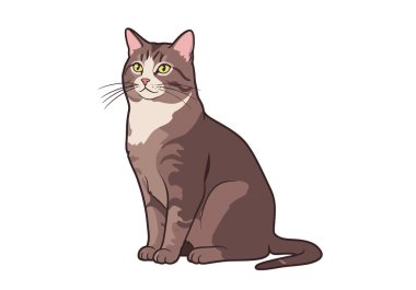 Kedi klipsli resim. Kahverengi ve beyaz kediler sarı gözlü ve pembe burunlu. Çizim tasarımı.