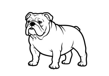 Siyah beyaz İngiliz Bulldog Clipart. Bu resim bir İngiliz Bulldog 'unun detaylı bir taslağını gösteriyor. Çizim tasarımı.