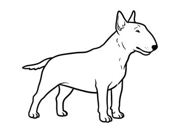 Boğa teriyeri klipsi sanatı. Bu resim, basit, siyah beyaz çizgi çizgisi tarzında ayakta duran bir köpek teriyerini gösteriyor. Çizim tasarımı.