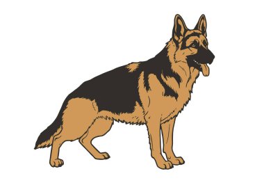 Alman çoban köpeğine tırman. Bu görüntü, dili dışarıda duran bir Alman çoban köpeğini gösteriyor. Çizim tasarımı.
