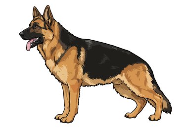 Klip sanatı Alman çoban köpeği. Alman çoban köpeği dili dışarıda duruyor. Çizim tasarımı.
