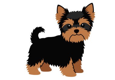 Clip sanatçısı Yorkie. Bu resim çizgi film tarzında sevimli bir Yorkie köpeğini gösteriyor. Çizim tasarımı.