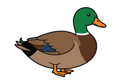 Mallard Duck Klip Sanatı. Yeşil başlı, kahverengi vücutlu ve turuncu gagalı renkli bir erkek yaban ördeği. Çizim tasarımı.
