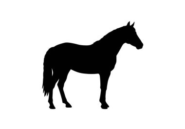 Clipart at silueti. Siyah at silueti yan görüşte duruyor. Çizim tasarımı.