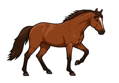 Clip Art Mustang atı. Güçlü bir Mustang atı, yelesi ve kuyruğuyla dörtnala koşuyor. Çizim tasarımı.