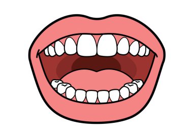 Sağlıklı diş klipsi. Bu resim, temiz, beyaz dişli, açık bir ağız gösteriyor. Çizim tasarımı.