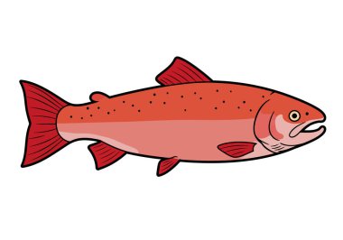 Clip Art Somon. Bu resim siyah benekli ve yüzgeçli kırmızı ve pembe bir somonu gösteriyor. Çizim tasarımı.