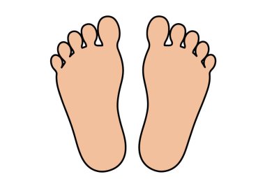 Ayak Clipart 'ın fotoğrafı. Bu resim her birinde beş ayak parmağı olan bir çift ayağı gösteriyor. Çizim tasarımı.