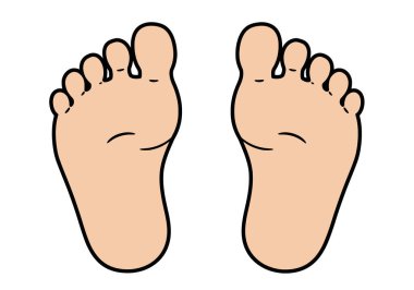Koca Ayak Clipart. Bu resim, her birinde beş ayak parmağı olan bir çift çizgi film ayağı gösteriyor. Çizim tasarımı.