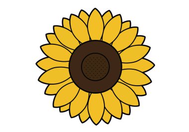 Estetik ayçiçeği kırpıntısı. Bu resim, doğayı, güzelliği ve sıcaklığı sembolize eden sarı yapraklı ve kahverengi merkezli bir ayçiçeğini gösteriyor. Çizim tasarımı.