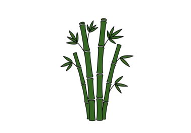 Bambu klipsi sanatı. Yapraklı yeşil bambu sapları. Çizim tasarımı.