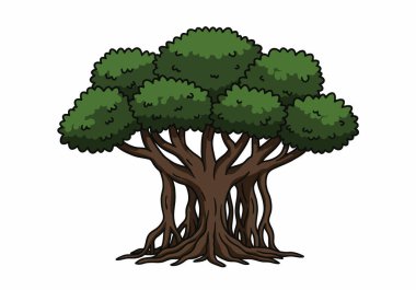 Banyan ağacı parçası. Bu resim çoklu gövdeli ve yoğun yeşil yapraklı bir banyan ağacını gösteriyor. Çizim tasarımı.