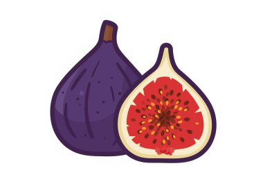 Kırpılmış incir. Bu görüntü detaylı bir iç mekanı olan tam bir incir ve yarım inciri gösteriyor. Çizim tasarımı.