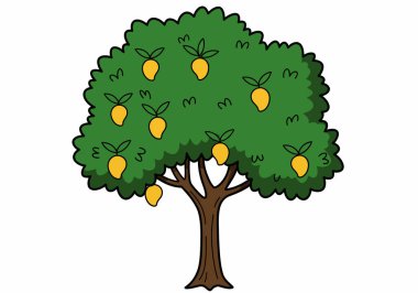 Mango ağacına tırman. Yeşil yapraklı ve sarı mangolu bir ağaç. Çizim tasarımı.
