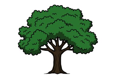 Clip art meşe ağacı. Bu resim, kalın gövdeli ve yoğun yeşil yapraklı çizgi film tarzı bir meşe ağacını gösteriyor. Çizim tasarımı.