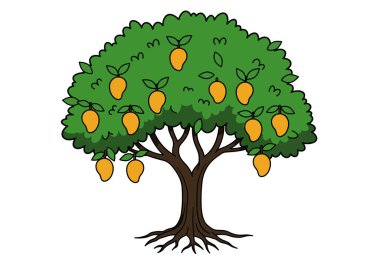 Mango ağacı vektörü. Yeşil yapraklı ve sarı mangolu bir ağaç. Çizim tasarımı.