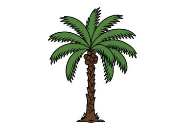 Palmetto ağacı klipsi sanatı. Bu resim yeşil yapraklı ve kahverengi hindistan cevizli stilize palmetto ağacını gösteriyor. Çizim tasarımı.