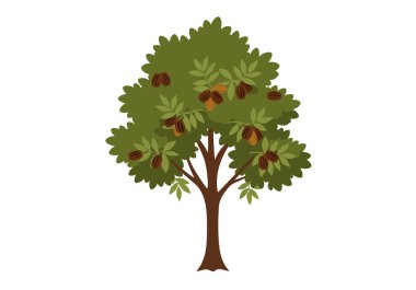 Fındık ağacı klipsi sanatı. Resim yeşil yapraklı ve fındıklı bir ceviz ağacını gösteriyor. Çizim tasarımı.