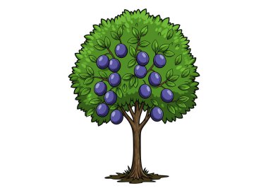 Şeker eriği ağacı klipsi. Bu resim yeşil yapraklı ve mor erikli bir ağacı gösteriyor. Çizim tasarımı.