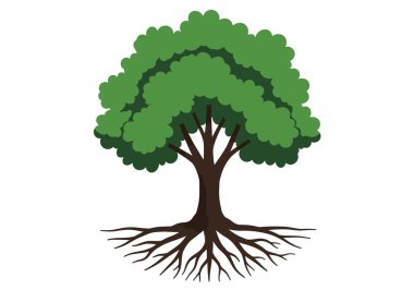 Ağaç ve kökler birleşiyor. Bu resim yeşil yapraklı ve görünür kahverengi kökleri olan bir ağacı gösteriyor. Çizim tasarımı.