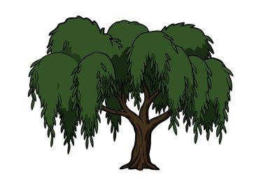 Ağlayan söğüt tokası sanatı. Ağlayan söğüt ağacı, sarkan dalları ve yemyeşil yaprakları var. Çizim tasarımı.