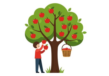 Elma toplama sanatı. Bir kişi dalına sepet asılmış bir ağaçtan elma topluyor. Çizim tasarımı.