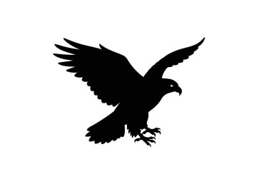 Kartal silueti. Geniş kanatları ve çarpıcı bir duruşta uzanan pençeleri olan bir kartal. Çizim tasarımı.