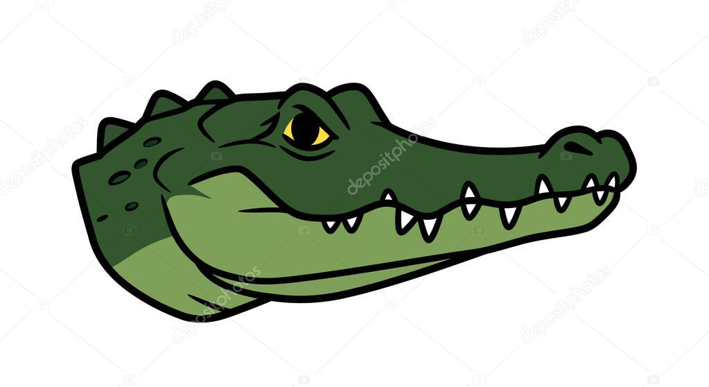 Gator head clip art. Green alligator head with yellow eye and sharp teeth. Illustration design.