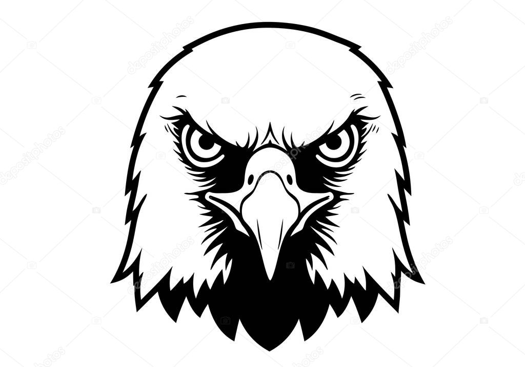 Eagle face black white clipart. The image shows a detailed and intense eagle face in black and white. Illustration design.