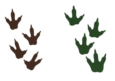 Dino Clipart 'ı izler. Kahverengi ve yeşil üç parmaklı dinozor ayak izleri beyaz arka planda düzenlenmiş. Çizim tasarımı.